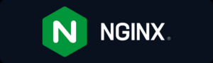 intro-nginx-web-server